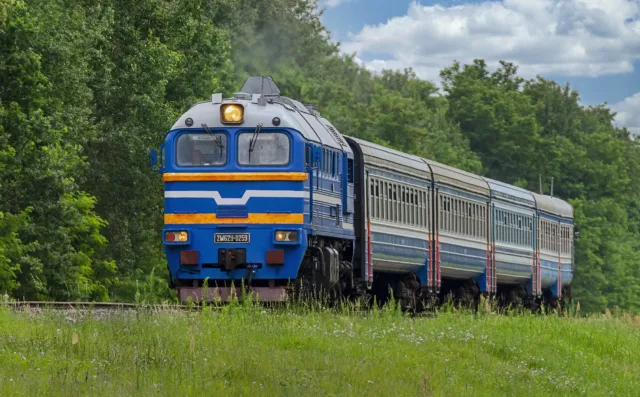 ДР1пТ-043. Беларусь, Гомельская область, перегон Жлобин-Северный — разъезд Лукское. Автор: Oleg-BY. Дата: 2 июля 2024 г.